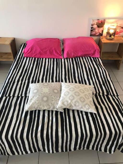 Petit Prix Et Grand Confort A Saint Gilles Les Bains Ngoại thất bức ảnh
