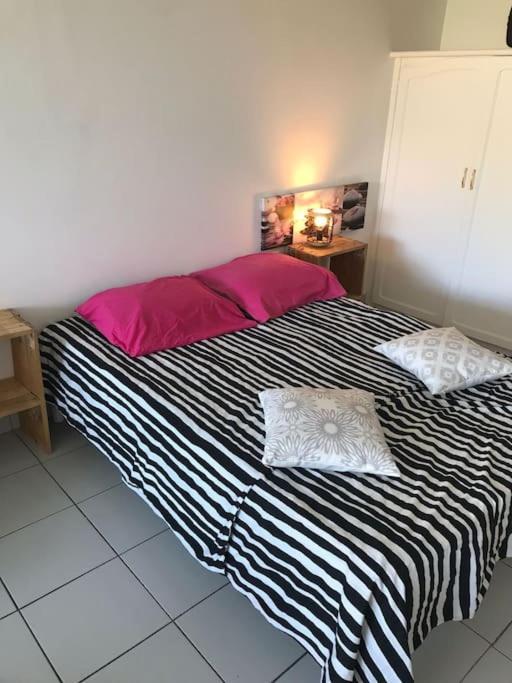 Petit Prix Et Grand Confort A Saint Gilles Les Bains Ngoại thất bức ảnh
